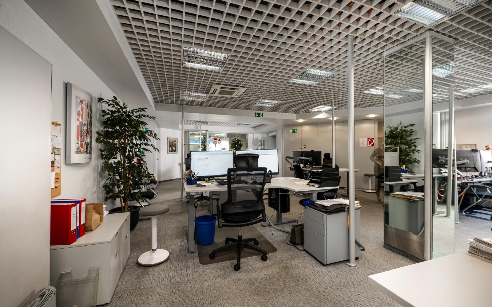 Großraumbüro der Grundstücksverwaltung Ehlert in Hildesheim — Schreibtische, Pflanzen und freundliche Atmosphäre, in der das Team täglich Mieter- und Eigentümer-Anliegen bearbeitet.